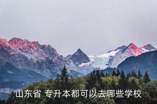 山東省 專升本都可以去哪些學校
