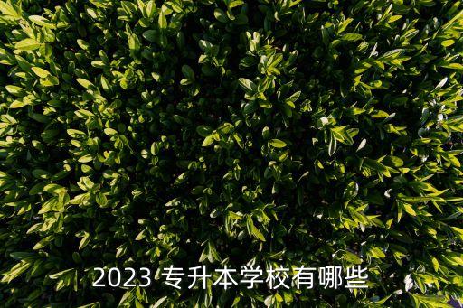 2023 專升本學(xué)校有哪些
