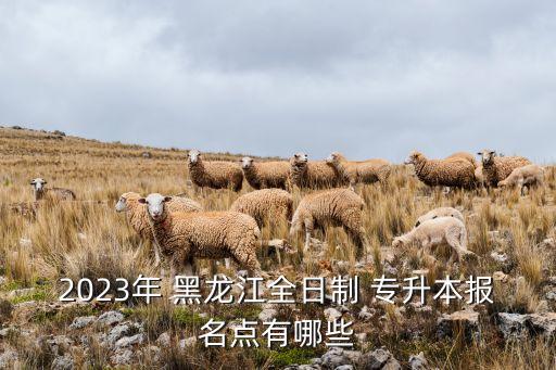 黑龍江專(zhuān)升本輔導(dǎo)學(xué)校