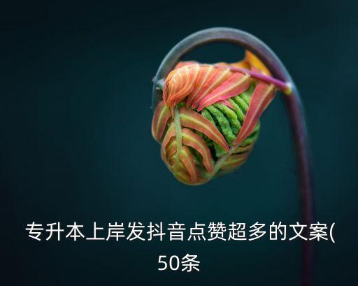  專升本上岸發(fā)抖音點(diǎn)贊超多的文案(50條