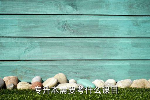 專升本綜合文科有哪些,陜西專升本文科可以報(bào)考哪些大學(xué)