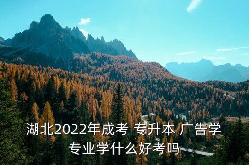湖北2022年成考 專(zhuān)升本 廣告學(xué)專(zhuān)業(yè)學(xué)什么好考嗎