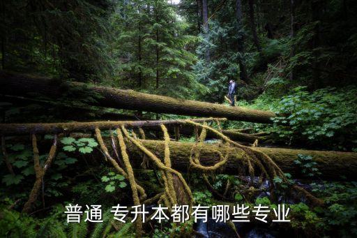 專升本山東17生物工程,武漢生物工程學(xué)院專升本2022