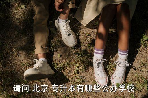 請(qǐng)問(wèn) 北京 專升本有哪些公辦學(xué)校