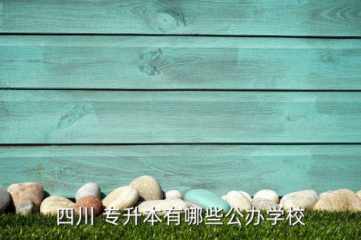 四川 專(zhuān)升本有哪些公辦學(xué)校