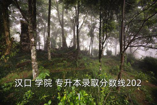 漢口 學(xué)院 專升本錄取分?jǐn)?shù)線2021