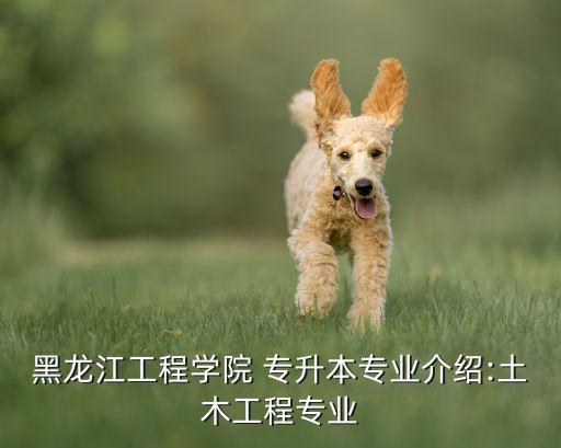 2018年黑龍江省專升本報(bào)名,黑龍江省專升本什么時(shí)候報(bào)名