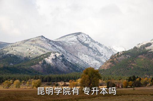 昆明學院有 專升本嗎