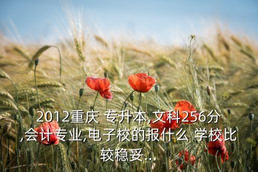 2012重慶 專升本,文科256分,會計專業(yè),電子校的報什么 學校比較穩(wěn)妥...