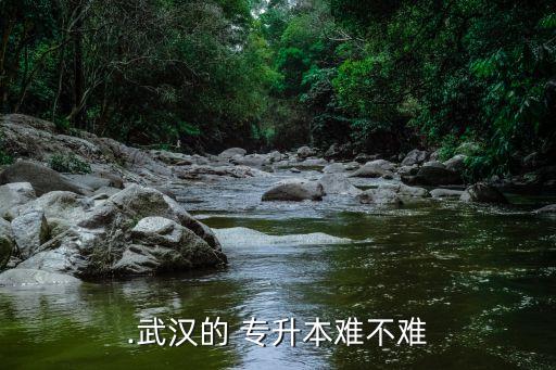 .武漢的 專升本難不難