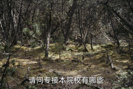 請(qǐng)問(wèn)專接本院校有哪些