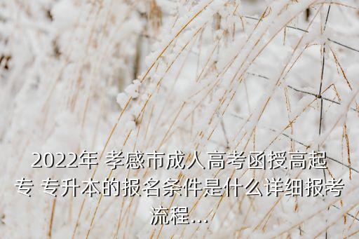 2022年 孝感市成人高考函授高起專 專升本的報名條件是什么詳細(xì)報考流程...