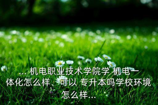 ... 機(jī)電職業(yè)技術(shù)學(xué)院學(xué) 機(jī)電一體化怎么樣、可以 專升本嗎學(xué)校環(huán)境怎么樣...