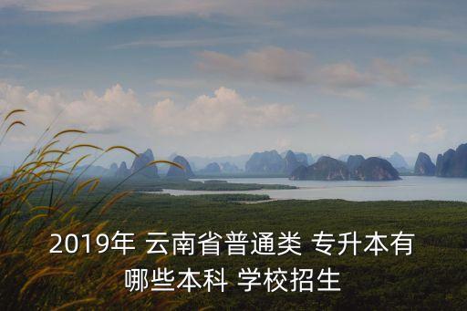 2019年 云南省普通類(lèi) 專(zhuān)升本有哪些本科 學(xué)校招生