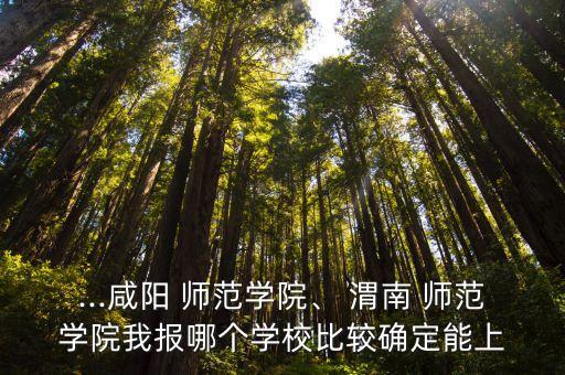 ...咸陽 師范學(xué)院、 渭南 師范學(xué)院我報(bào)哪個(gè)學(xué)校比較確定能上