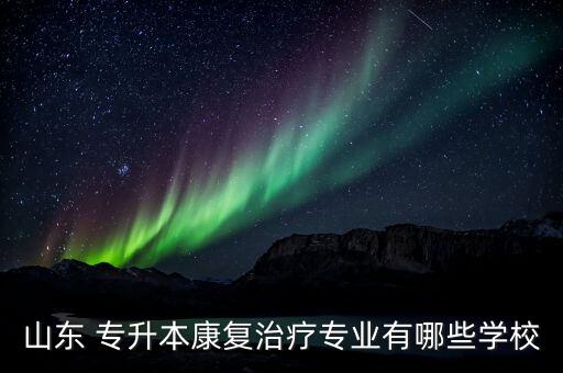 山東 專升本康復治療專業(yè)有哪些學校