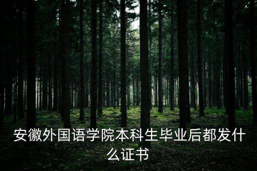  安徽外國語學院本科生畢業(yè)后都發(fā)什么證書