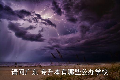 請問廣東 專升本有哪些公辦學(xué)校