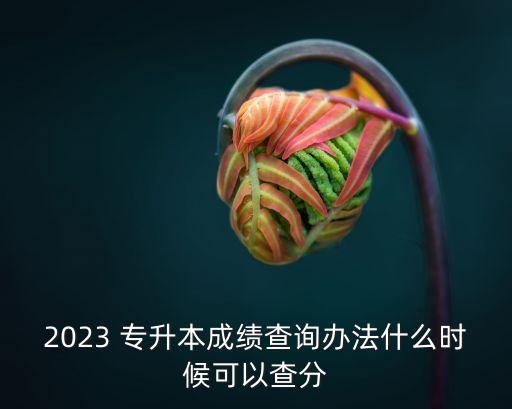 專(zhuān)升本錄取咋查,怎么查專(zhuān)升本是否錄取