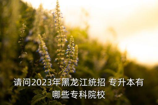請問2023年黑龍江統(tǒng)招 專升本有哪些?？圃盒? class=