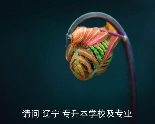 請問 遼寧 專升本學(xué)校及專業(yè)