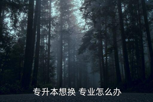 電子商務(wù)專升本轉(zhuǎn)專業(yè)
