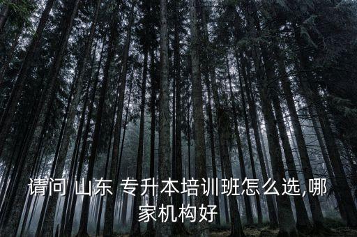 請(qǐng)問(wèn) 山東 專升本培訓(xùn)班怎么選,哪家機(jī)構(gòu)好