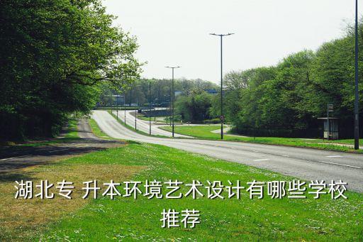 湖北專 升本環(huán)境藝術設計有哪些學校推薦