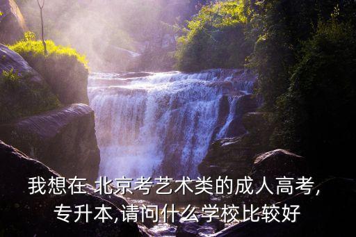 我想在 北京考藝術(shù)類的成人高考, 專升本,請(qǐng)問(wèn)什么學(xué)校比較好