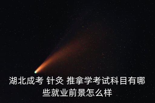 湖北成考 針灸 推拿學(xué)考試科目有哪些就業(yè)前景怎么樣
