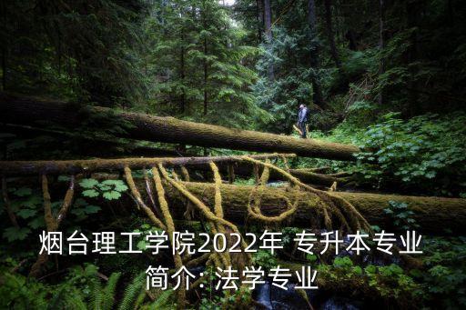 煙臺理工學(xué)院2022年 專升本專業(yè)簡介: 法學(xué)專業(yè)