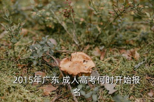 2015年廣東 成人高考何時開始報名