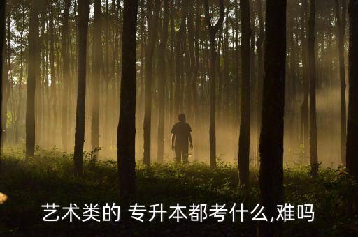 藝術(shù)類(lèi)的 專(zhuān)升本都考什么,難嗎