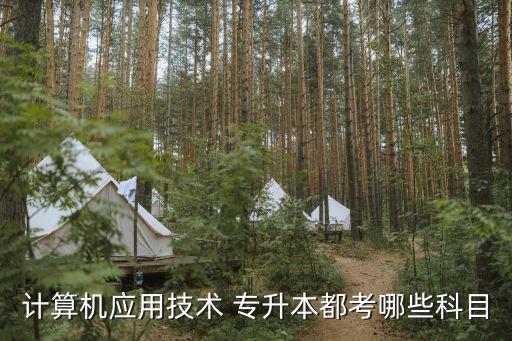 計算機應用技術 專升本都考哪些科目