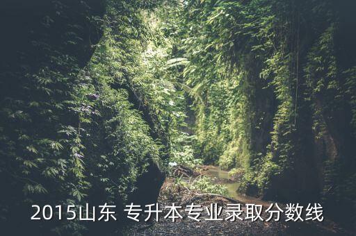 2015山東 專升本專業(yè)錄取分數(shù)線