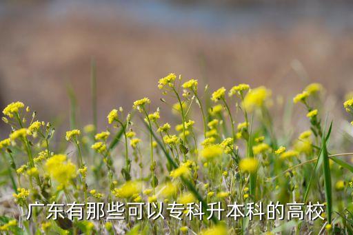 華南理工大學(xué)專升本