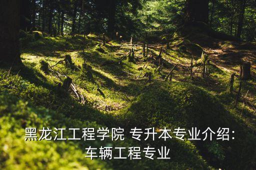  黑龍江工程學院 專升本專業(yè)介紹:車輛工程專業(yè)
