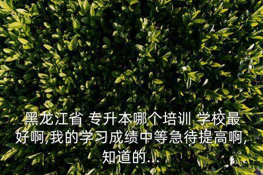  黑龍江省 專(zhuān)升本哪個(gè)培訓(xùn) 學(xué)校最好啊,我的學(xué)習(xí)成績(jī)中等急待提高啊,知道的...