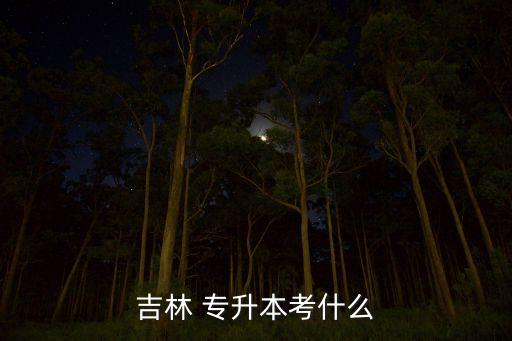 吉林省2016年專升本真題,2020年專升本語(yǔ)文真題