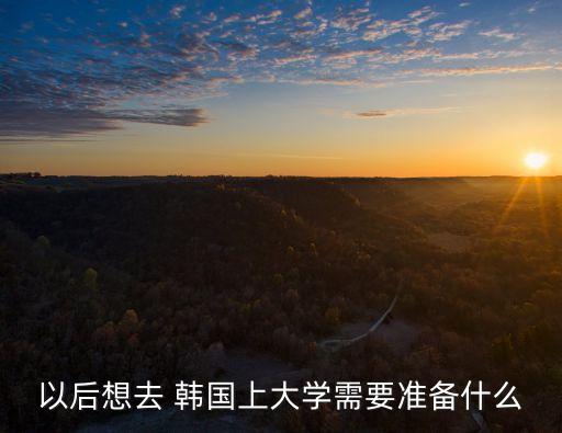 以后想去 韓國上大學(xué)需要準(zhǔn)備什么