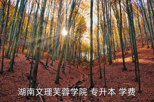 湖南文理芙蓉學(xué)院 專升本 學(xué)費