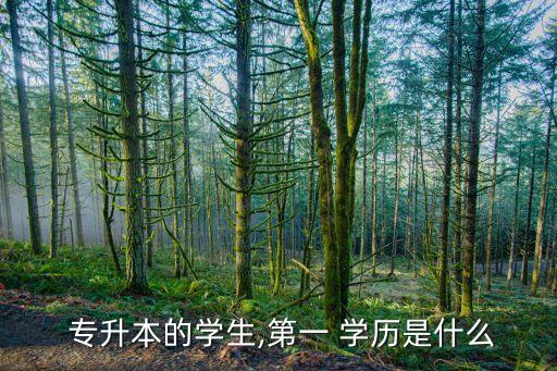  專(zhuān)升本的學(xué)生,第一 學(xué)歷是什么