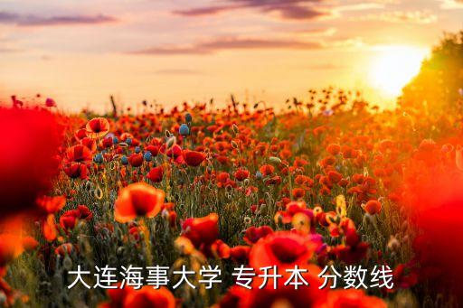 大連海事大學(xué) 專升本 分數(shù)線