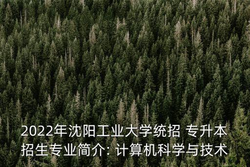 2022年沈陽工業(yè)大學統(tǒng)招 專升本招生專業(yè)簡介: 計算機科學與技術(shù)
