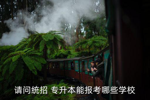 請問統(tǒng)招 專升本能報考哪些學校