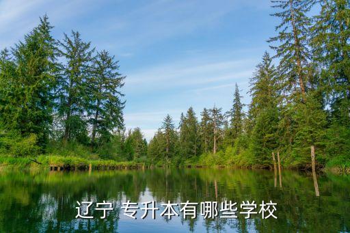  遼寧 專升本有哪些學(xué)校