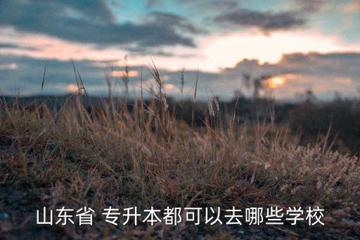 山東大學(xué)新聞系專升本