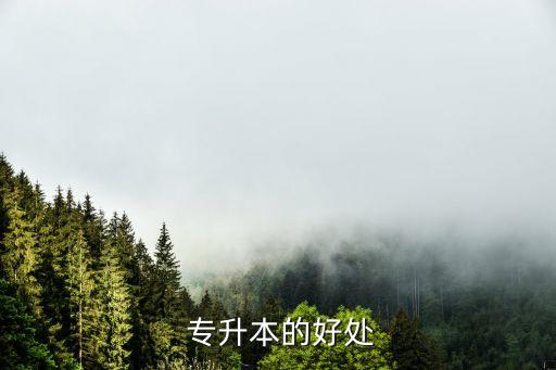 專(zhuān)升本的有利點(diǎn),山東省大賽對(duì)專(zhuān)升本有利嗎