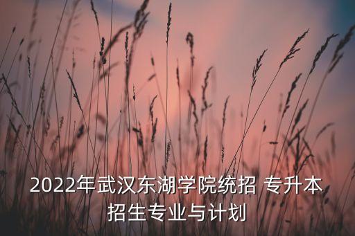 2022年武漢東湖學(xué)院統(tǒng)招 專升本招生專業(yè)與計(jì)劃