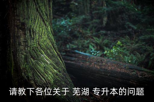請(qǐng)教下各位關(guān)于 蕪湖 專升本的問(wèn)題
